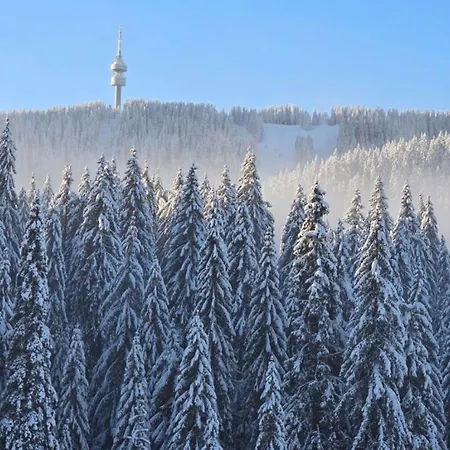 Forest Dreams Apartament Pamporovo