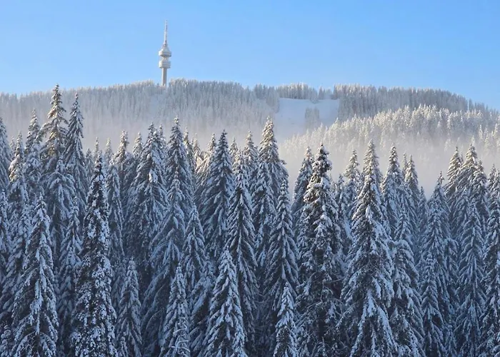 Forest Dreams דירה פמפורובו